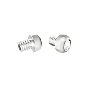 FIXATION SCREW FOR PALATINAL PIN
