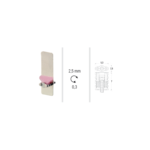 Memory protrusion screw 2,5 mm