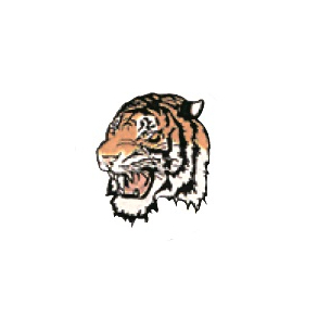Happy Design Tiger