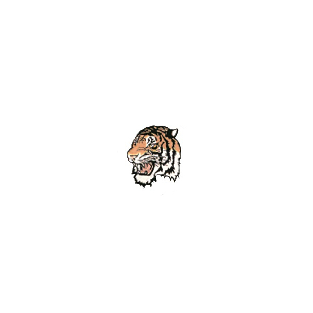 Happy Design Tiger