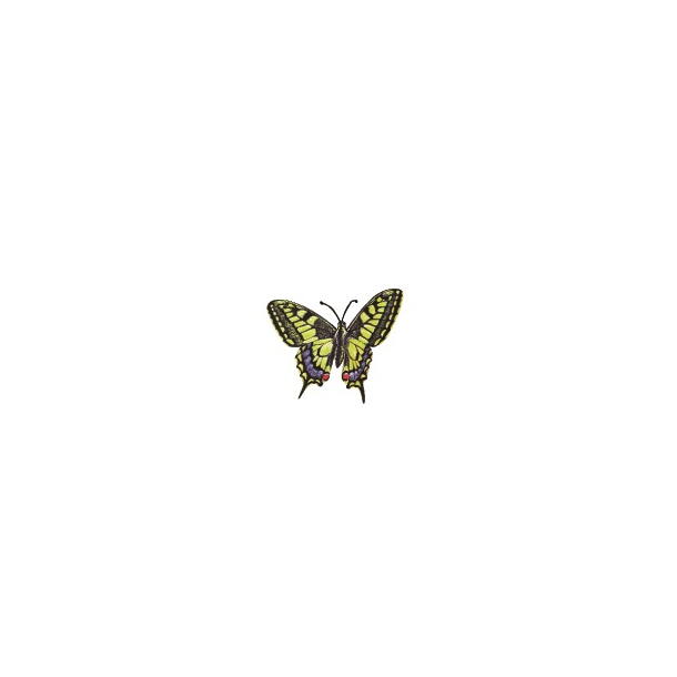 Happy Design Butterfly