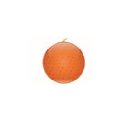 FORESTADENT ELASTIKKER "FRUGTER" - LATEX 10/PK