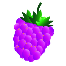 FORESTADENT ELASTIKKER "FRUGTER" - LATEXFRI 10/PK