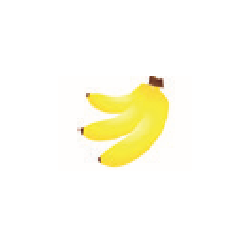 FORESTADENT ELASTIKKER "FRUGTER" - LATEX 10/PK