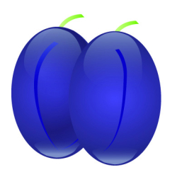 FORESTADENT ELASTIKKER "FRUGTER" - LATEX 10/PK