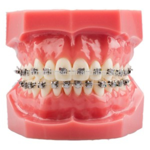 TYPODONT MINI SPRINT