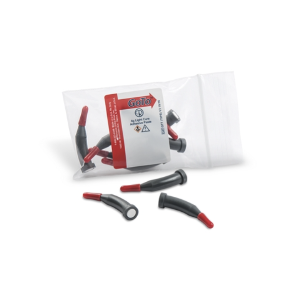 GoTo Adhesive Paste in Tips 4 gm