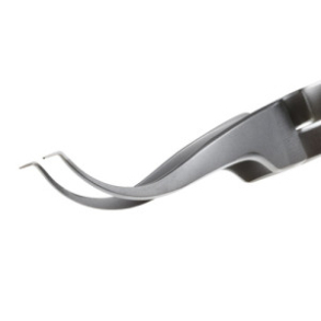 LINGUAL BRACKET AND TUBE HOLDER