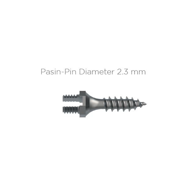 Pasin-Pin 2,3 x 12 mm
