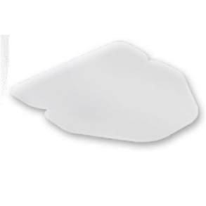 REPLACEMENTS SHIELDS FOR R66