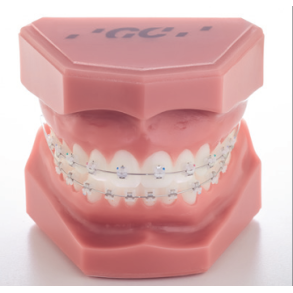 TYPODONT EXPERIENCE MINI CERAMIC 7-7