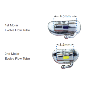 EVOLVE TUBE 1 and 2 Molar ROTH .022