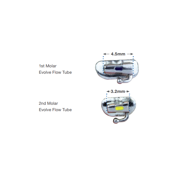 EVOLVE TUBE 1 and 2 Molar ROTH .022